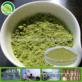 Organic Matcha Green Tea Powder